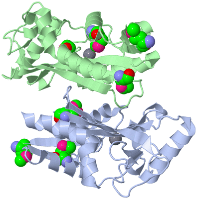 Image Biological Unit 1