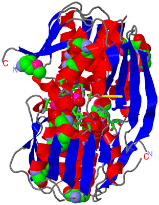 Image Asym./Biol. Unit - sites