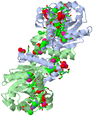 Image Asym./Biol. Unit - sites