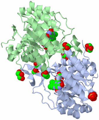 Image Asym./Biol. Unit