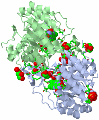 Image Asym./Biol. Unit - sites