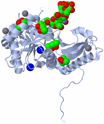 Image Biological Unit 1