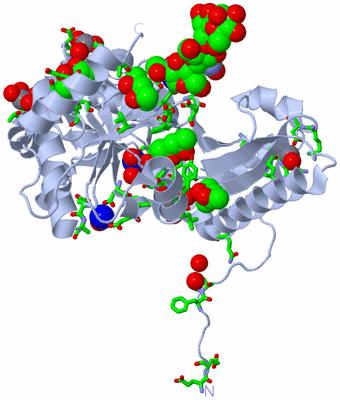 Image Biol. Unit 1 - sites