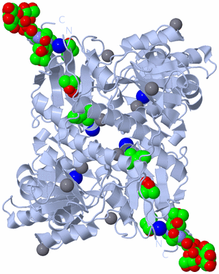 Image Biological Unit 2