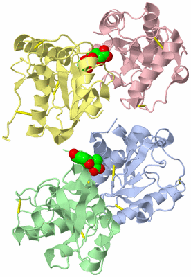 Image Asym./Biol. Unit