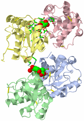 Image Asym./Biol. Unit - sites