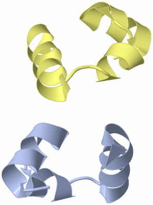 Image Asymmetric Unit