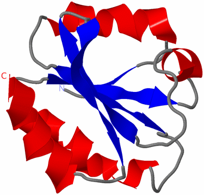 Image NMR Structure - model 1