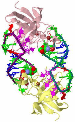 Image Biological Unit 2