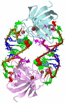 Image Biological Unit 3