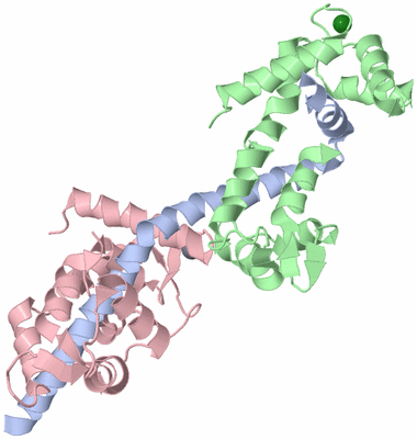 Image Biological Unit 1