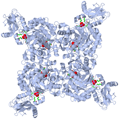 Image Biol. Unit 1 - sites