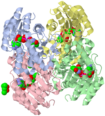 Image Asym./Biol. Unit