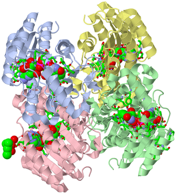 Image Asym./Biol. Unit - sites