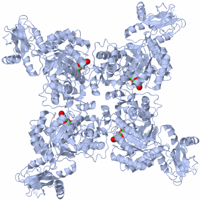 Image Biological Unit 1