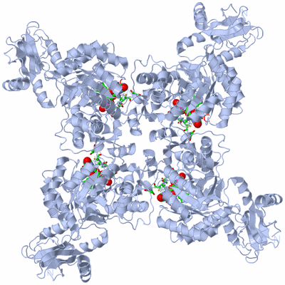 Image Biol. Unit 1 - sites