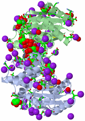 Image Asym. Unit - sites