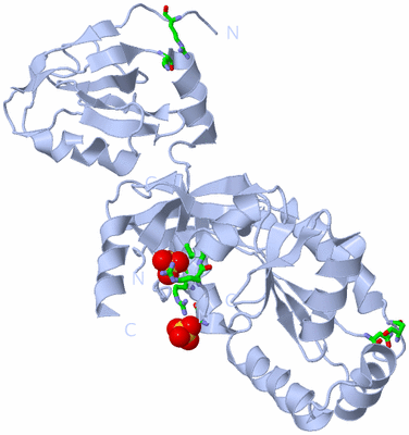 Image Biol. Unit 1 - sites