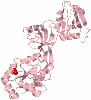 Image Biological Unit 3