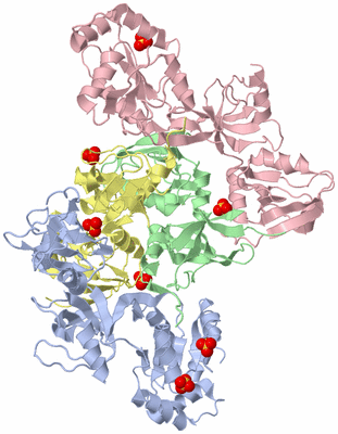 Image Biological Unit 5