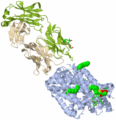 Image Biol. Unit 1 - sites