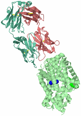 Image Biological Unit 2