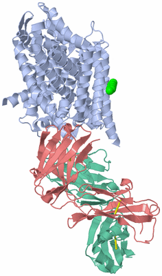 Image Asym./Biol. Unit