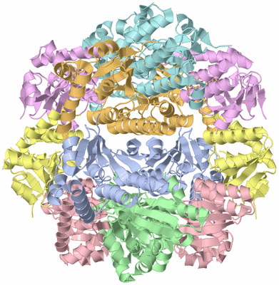 Image Biological Unit 1