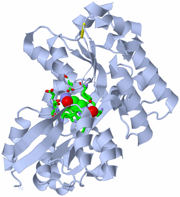 Image Biol. Unit 1 - sites