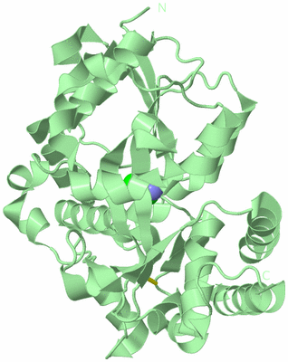 Image Biological Unit 2