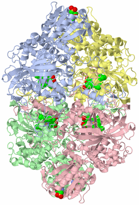 Image Asym./Biol. Unit