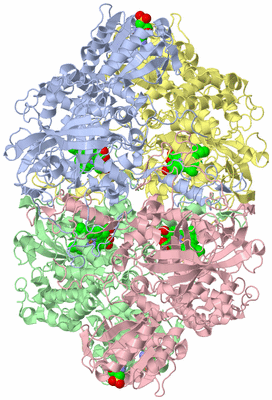 Image Asym./Biol. Unit