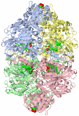 Image Asym./Biol. Unit - sites