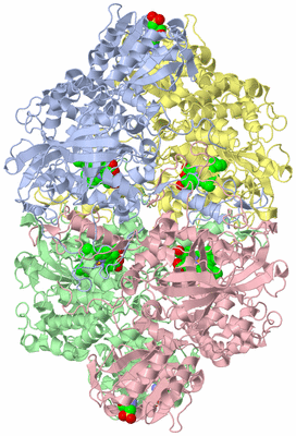 Image Asym./Biol. Unit