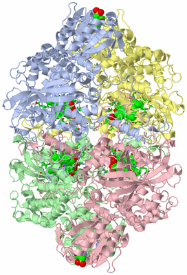 Image Asym./Biol. Unit - sites