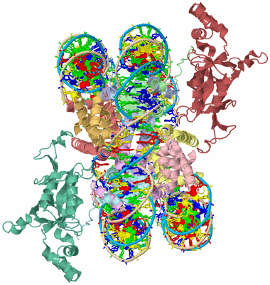 Image Biological Unit 1