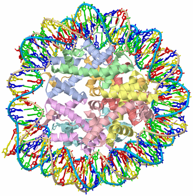 Image Biological Unit 2