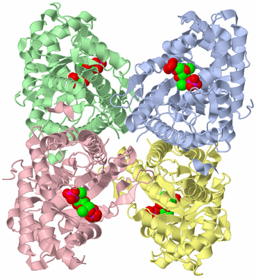 Image Asym./Biol. Unit