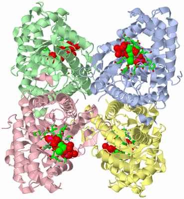 Image Asym./Biol. Unit - sites