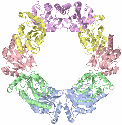 Image Biological Unit 1