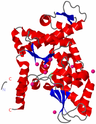 Image Asym./Biol. Unit