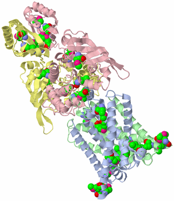 Image Asym./Biol. Unit