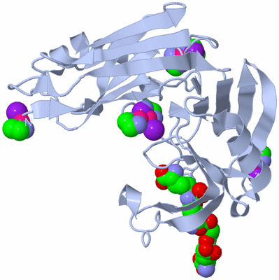 Image Biological Unit 1