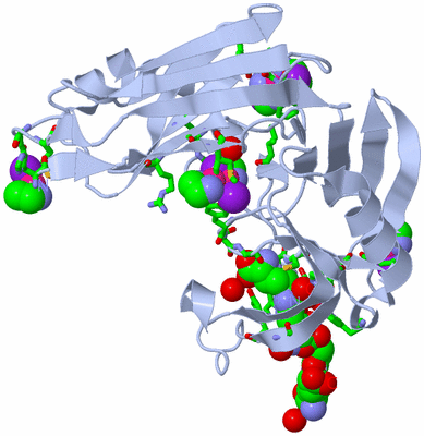 Image Biol. Unit 1 - sites