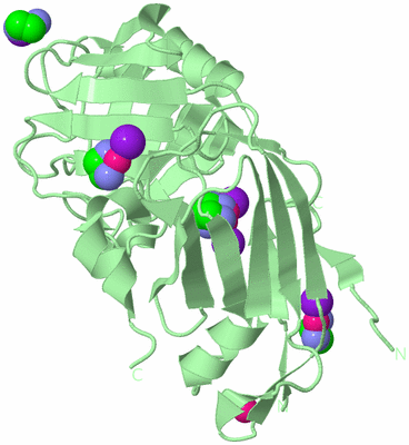 Image Biological Unit 2