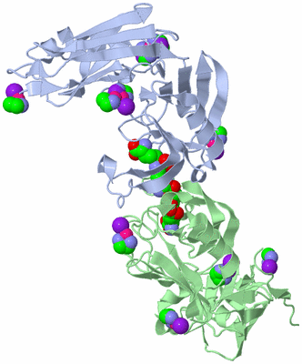 Image Biological Unit 3