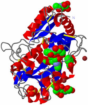 Image Asym./Biol. Unit