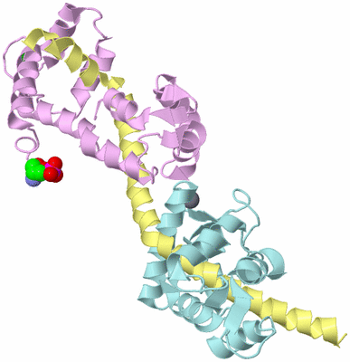 Image Biological Unit 2