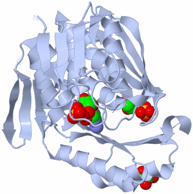 Image Biological Unit 1