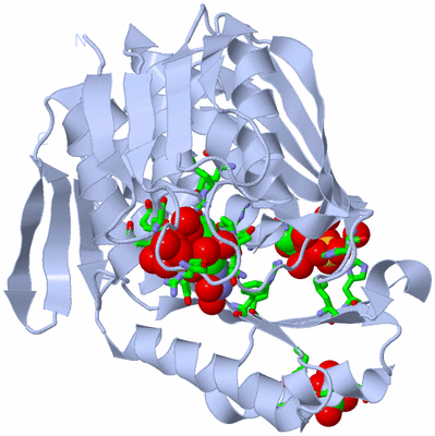 Image Biol. Unit 1 - sites